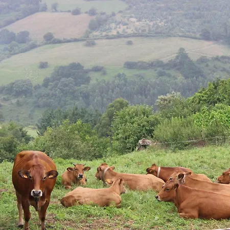 Amets Etxalde Hébergement de vacances