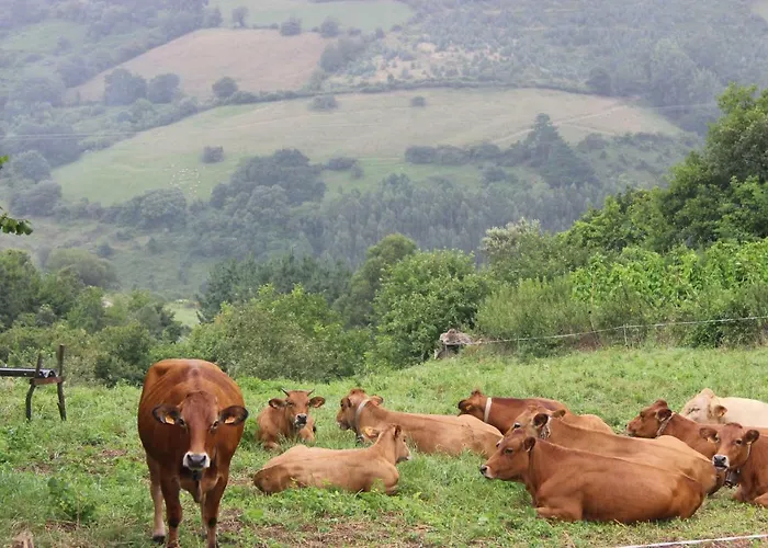 Amets Etxalde Holiday home