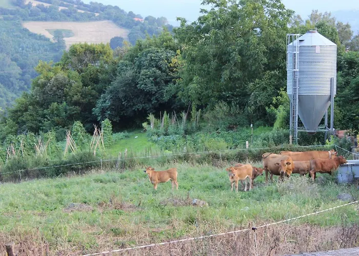 Holiday home Amets Etxalde *